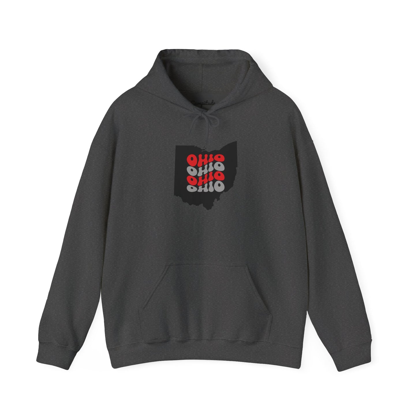 Unisex Hoodie - Cozy Ohio Pride