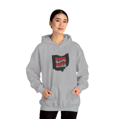 Unisex Hoodie - Cozy Ohio Pride