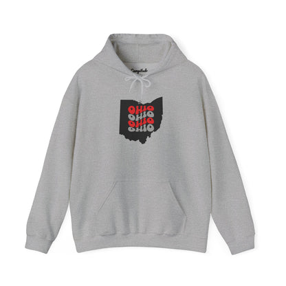 Unisex Hoodie - Cozy Ohio Pride