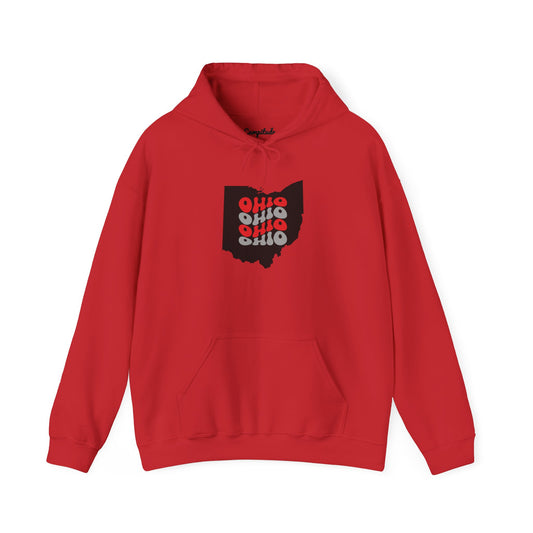 Unisex Hoodie - Cozy Ohio Pride