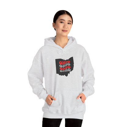 Unisex Hoodie - Cozy Ohio Pride