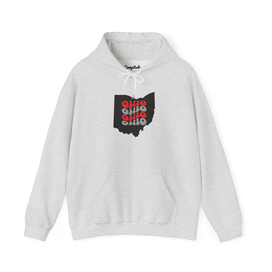 Unisex Hoodie - Cozy Ohio Pride