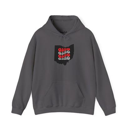 Unisex Hoodie - Cozy Ohio Pride